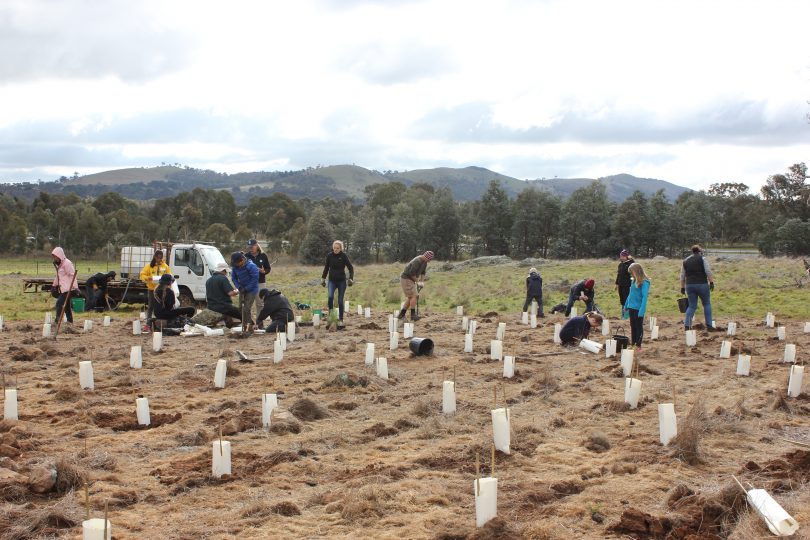 CSIRO Ginninderra Community Planting Day 1 of 2 | Riotact