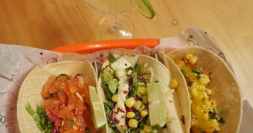 Beach Burrito Civic: Mexican Food in the heart of the City