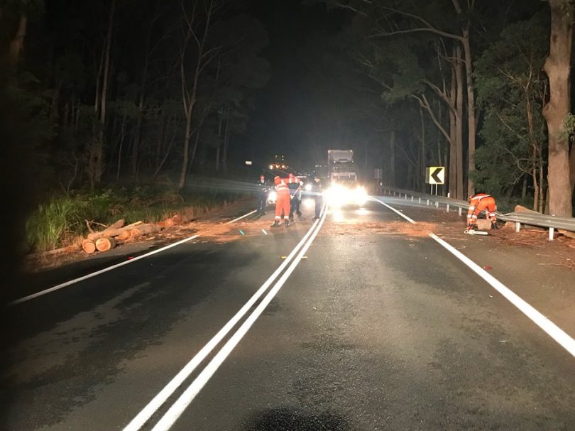 Batemans Bay SES responding to a tree down across the Princess Highway on Saturday Night. Photo: Batemans Bay SES Unit Facebook.