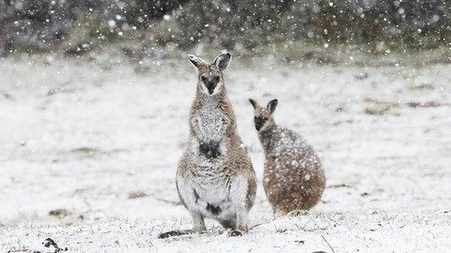 "Snow has arrived in the mountains" Photo: LAOKO Facebook.