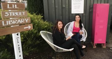 Two Canberra women uncover a treasure trove of 46 little libraries down city laneways and suburban streets