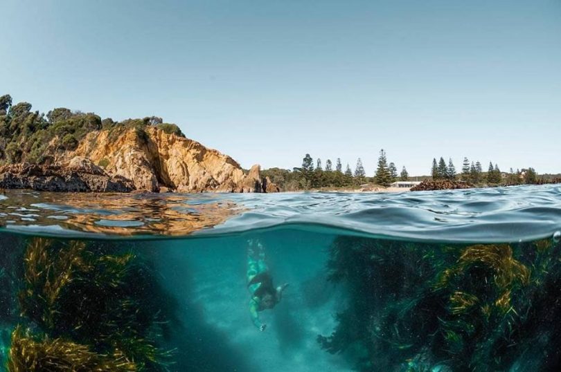 Snorkelling at Tathra