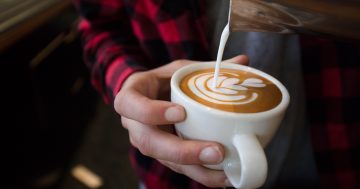 Cupping Room named Canberra’s best cafe by Lonely Planet