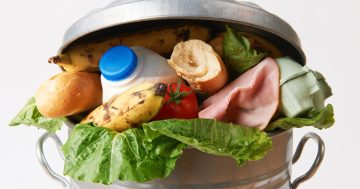 Workshop aims to address Canberra's big problem with food waste