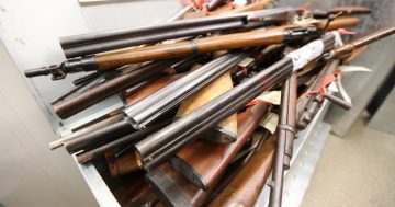 Thousands of illegal guns removed from the community - 70 from SE NSW