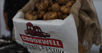 Costa Georgiadis launches community garden in NSW Southern Tablelands - and treasures a spud that looks just like him