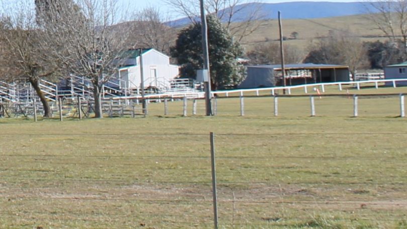 Braidwood Showground 355 Committee to replace the main showground arena boundary fence - $9,496. Photo: Alex Rea