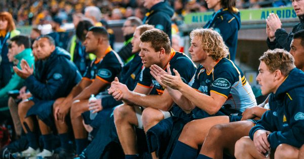 Should the Brumbies rest their players for Cheika's Wallabies?