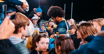 Vikings Group working with the Brumbies to connect with rugby’s grassroots