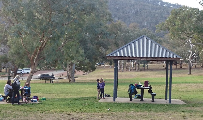 The troublesome drone was being piloted by a man sitting in a deck chair in the public car park. Photo: Brad Watts.