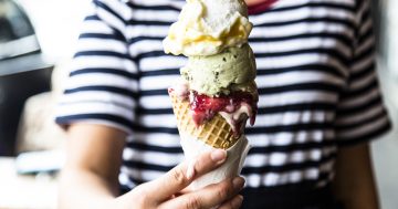 Gelato Messina is opening in Canberra with a launch flavour sure to delight