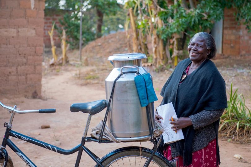Widow farmer Georgina now delivers milk twice a day with her Buffalo Bicycle, increasing her income by 25%. Photo: Supplied