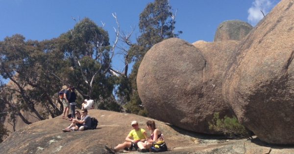 Large crowds force closure of Tidbinbilla Nature Reserve