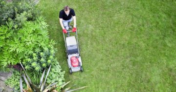 The best lawn mowing services in Canberra