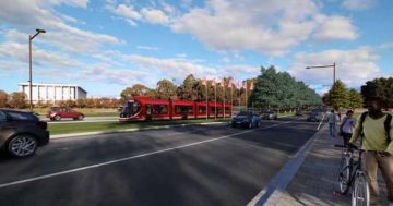 Call to keep ACT Government out of environmental assessment of light rail Stage 2B
