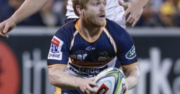 Brumbies hope 'fearless' rugby will break Kiwi hoodoo and keep finals chances alive