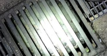 Restaurant fined for dumping waste down storm water drain