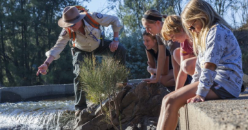 Canberra Day Trips: A treasure trove of nature’s best at Tidbinbilla Nature Reserve