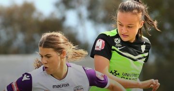 Canberra United teenager's dream comes true with Matildas call-up