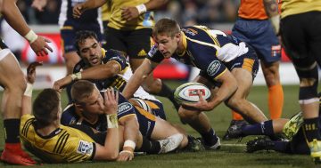 Two-year Kiwi curse over as Brumbies beat Hurricanes and keep finals chances alive