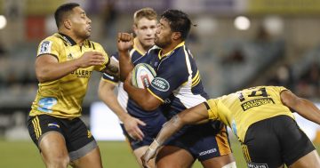 Folau Fainga'a bringing Wallabies confidence back to the Brumbies fold