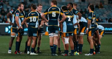 Why you should stick by the Brumbies
