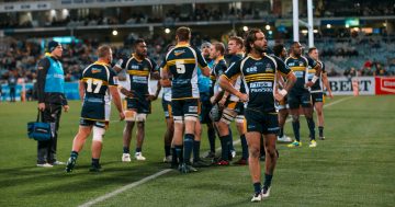 Brumbies to trim squad with up to ten players leaving at end of season