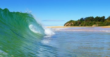 Eurobodalla coastline management - have your say