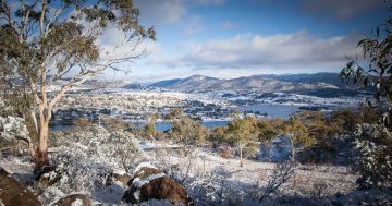 Group inspires action on Jindabyne's future