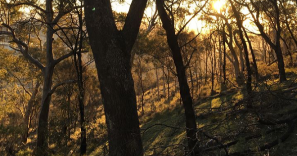 Mount Ainslie trail partially closed after person taken to hospital