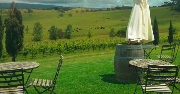 Canberra Day Trips: Cupitt’s Winery (South Coast)