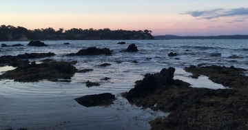 Canberra Day Trips: Tried and true ways to enjoy Batemans Bay this winter