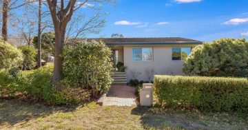 Completely renovated Narrabundah home offers perfect Inner South opportunity