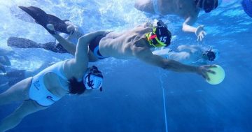 Underwater rugby making a splash in Canberra's sporting scene