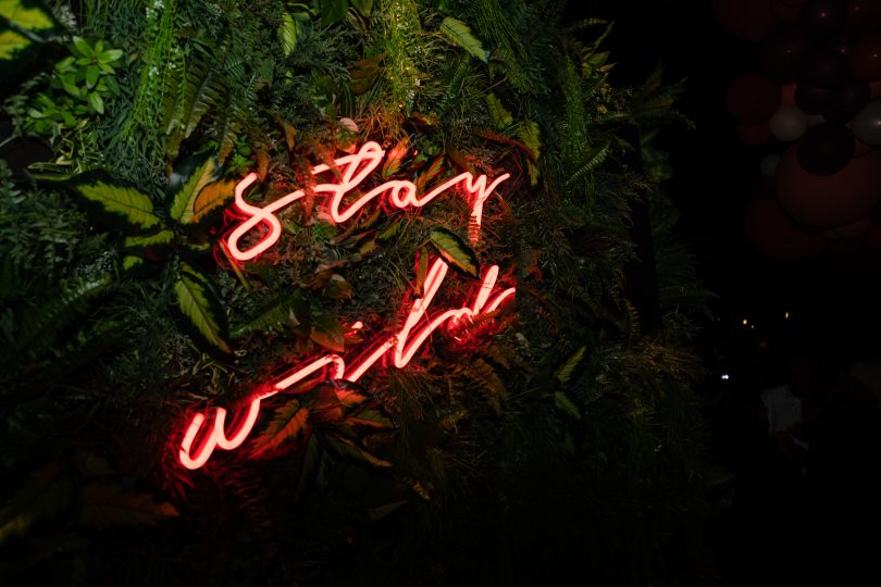 Neon Sign Stay wild 