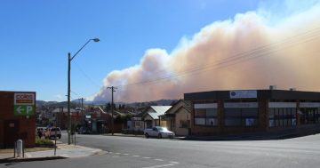 Strong winds fuelling bushfires in South East NSW