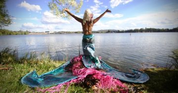 Artworks from around the globe grace the shores of Lake Burley Griffin for Contour 556