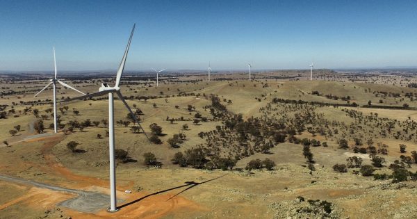 Wind farm powering ACT leads nation