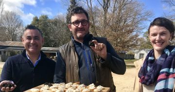 Time for truffles as the black gold adds tourist value