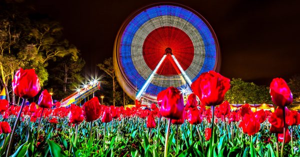 Things to do in Canberra (30 September - 6 October)
