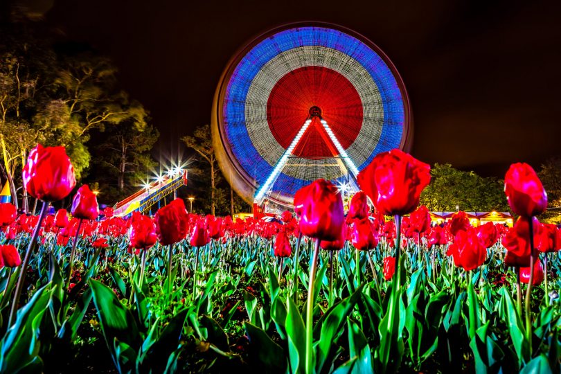 Ferris wheel at Floriade