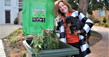 Goodbye to trailer hassles and hello to tidy gardens as first green bins delivered to Belconnen