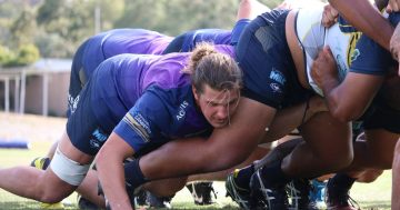 Ben Hyne to lead Canberra Vikings into battle in 2018 National Rugby Championship