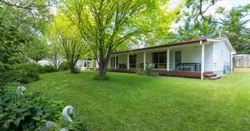 ‘Tweenhills Chestnuts’ - home, orchards and business for sale 30 minutes from Canberra