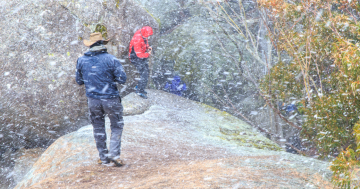 Snap of Namadgi snowstorm wins Winter Walks Photo Competition