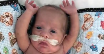 Viral video tells of baby’s fight for life while back home firefighters battle to save his South Coast home