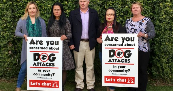 Canberra Liberals on the offensive to stop alarming number of dog attacks