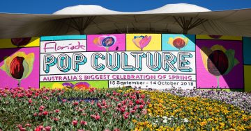 Floriade 2018 set to be blooming marvellous