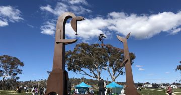 Giant kangaroo sculptures find permanent home in Throsby's Joey Park