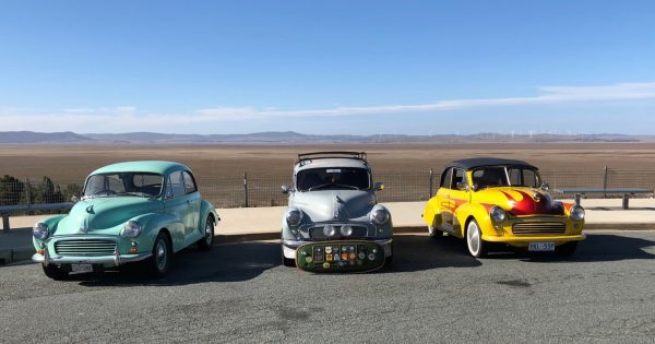 Car enthusiasts flock to Canberra to celebrate 70th anniversary of Morris Minors
